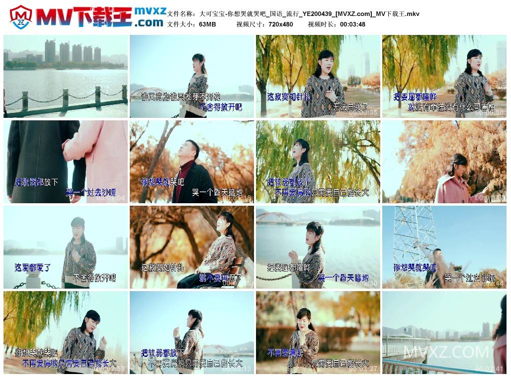 大可宝宝-你想哭就哭吧_国语_流行_YE200439